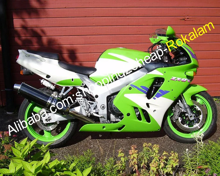 Kawasaki Fairing NINJA ZX9R 94 95 96 97 - ROKALAM Custom Bodywork