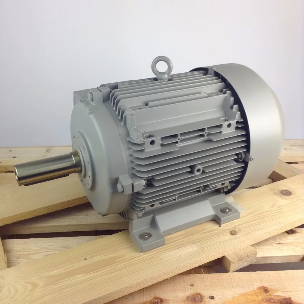 Siemens Ac Variable Frequency Motor Converter Motor 315 kw