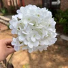 # 1 bianco