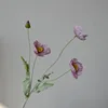 Viola di fico