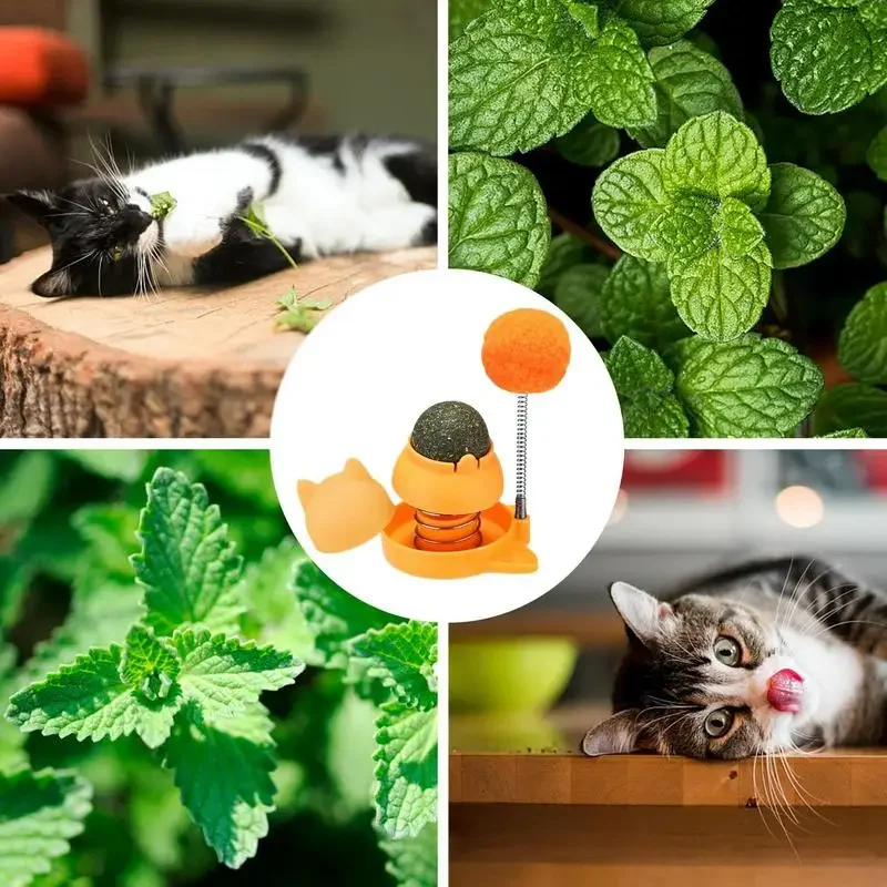 Catnip Wall Toys Rotatable Cat Licking Balls Edible and Healthy With Spring Ball Catnip Bubbles Lickables for Cats Catnip Ball