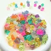 Animales Luminosos (Sin Bolsa Sorpresa)