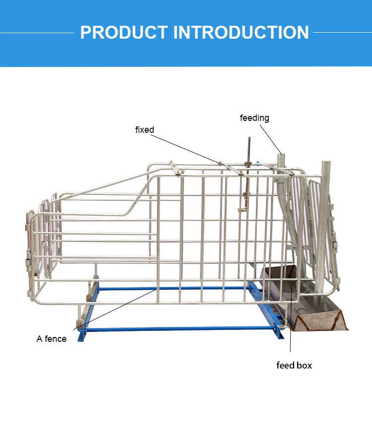 Sow Gestation Bed Galvanized Pig Farrowing Crates Pen Pig Flooring