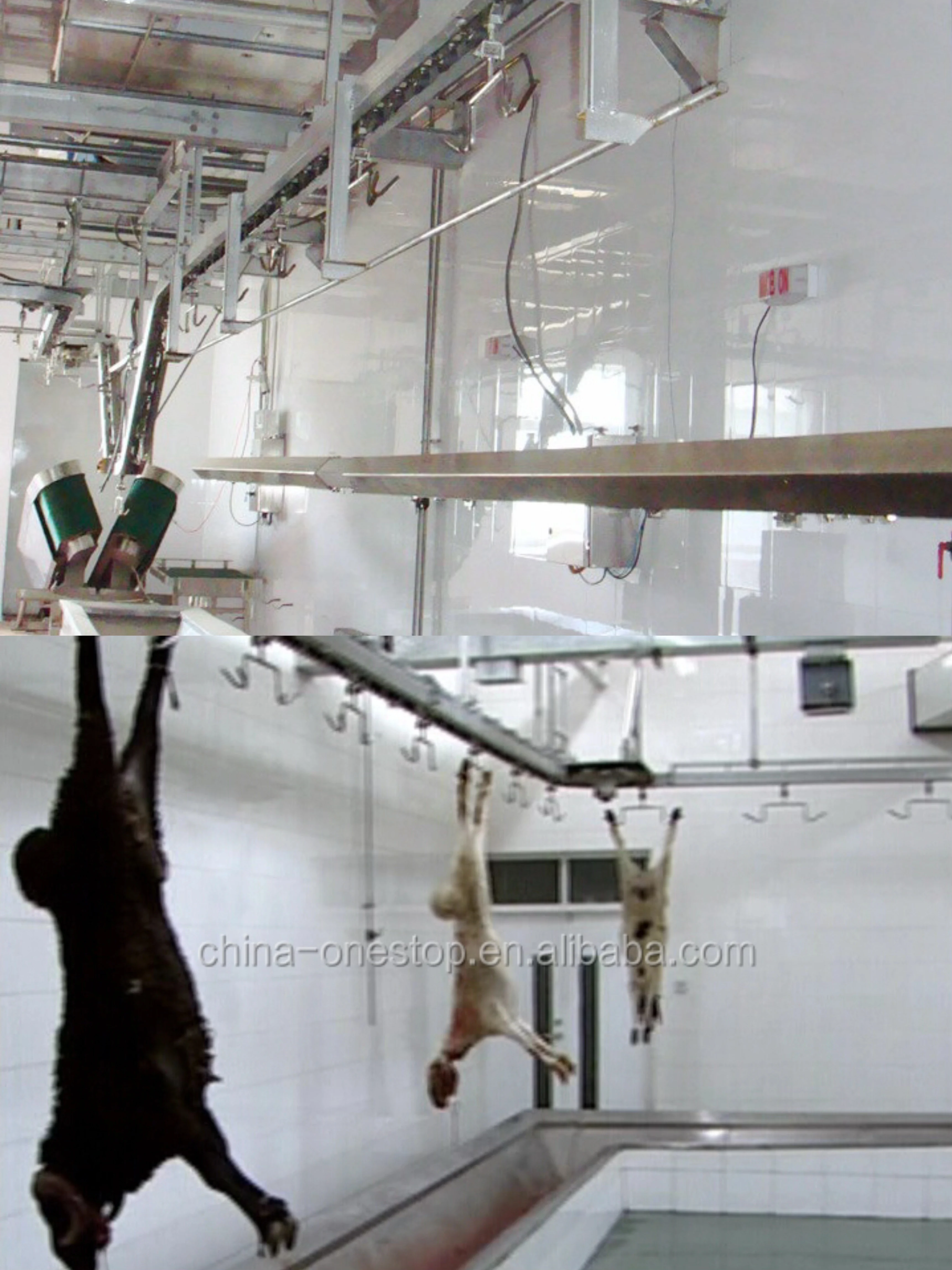 Complete sheep and goat slaughtering line equipment - efficient processing systems for meat factories and modern slaughterhouses
