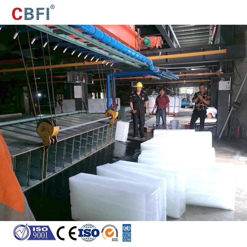 Large Ice Block Factory for Sell Ice with crane system-CBFI