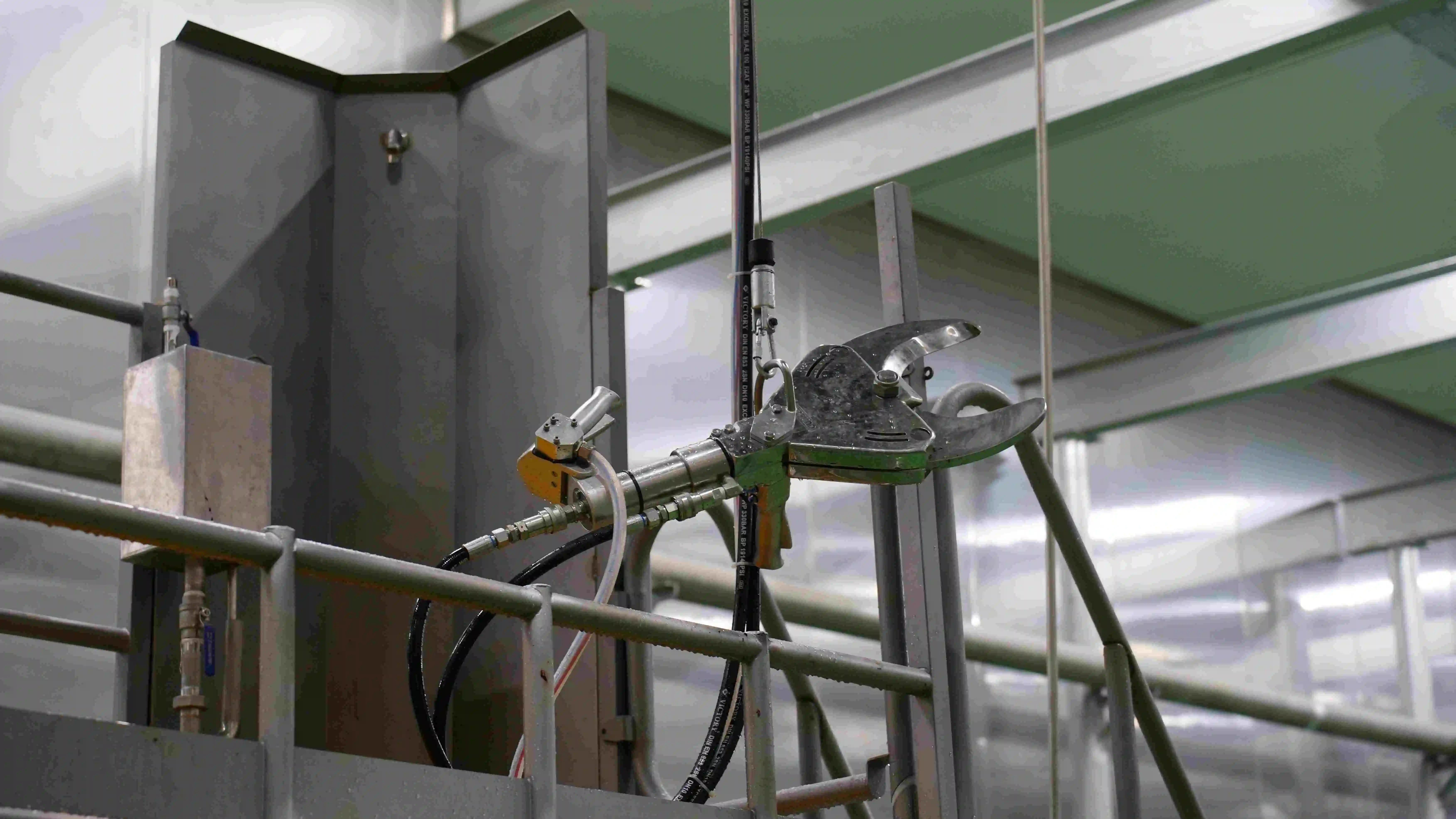 Large cattle slaughtering production line equipment, suitable for beef processing plants