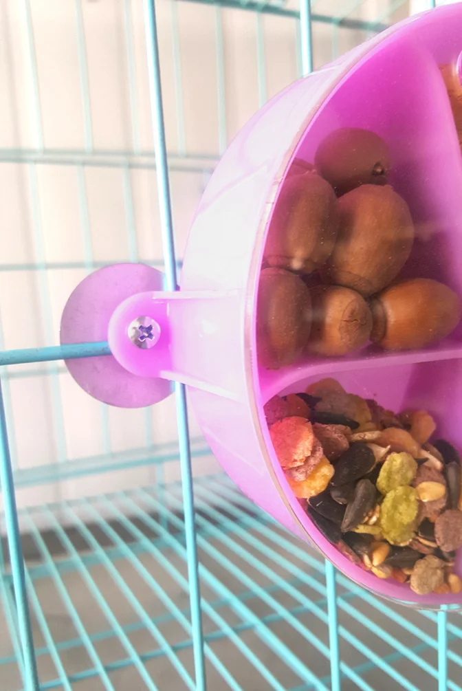 Распродажа, оптовая продажа, повседневные стильные игрушки для птиц из Гуандуна, Китай, забавные игрушки для клетки