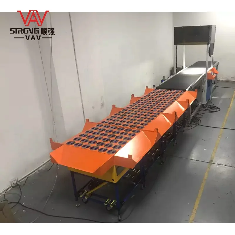 DWS System Servo Motor Inclined Wheel Sorter for Postal and Express Courier Industry