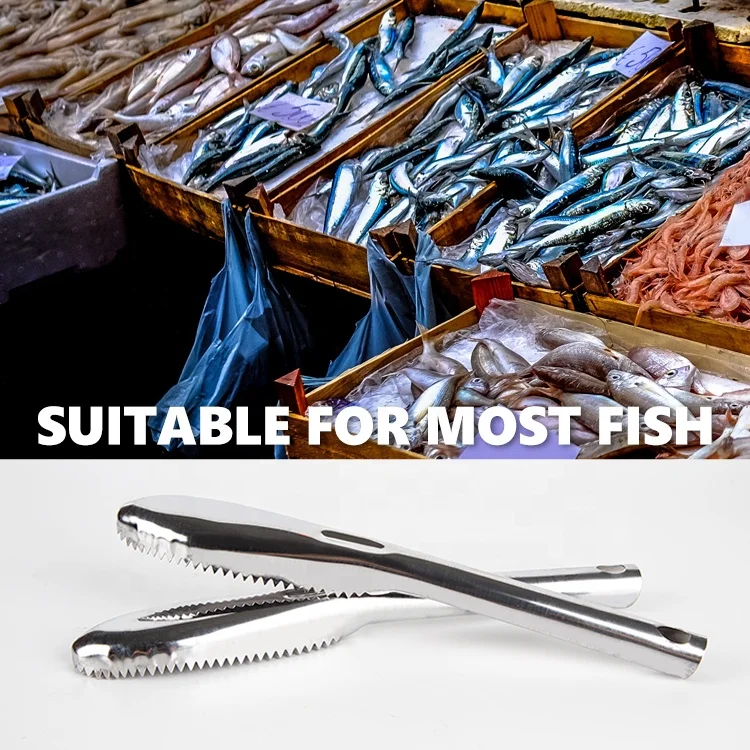 Rust-Proof Fish Skin Scraper Kitchen Fish Scale Remover Cleaning Tool Non-Slip Dual Serrated Stainless Steel Fish Scaler