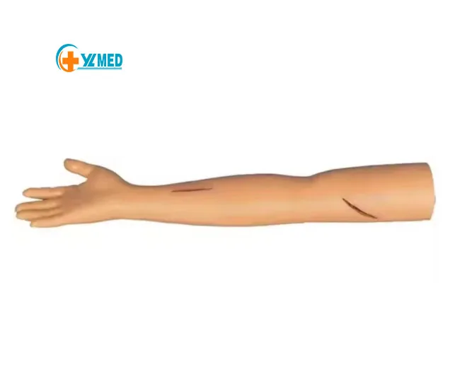 Медицинская модель анатомии человека, хирургический разрез и тренировочная ручка для швов с имитацией ПВХ материала