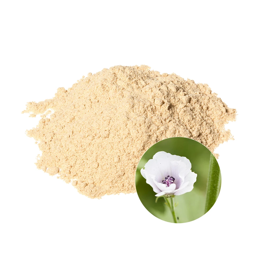 High Quality Halal Marshmallow Root Extract Powder Skin Moisturizing Althaea Officinalis Marshmallow Extract