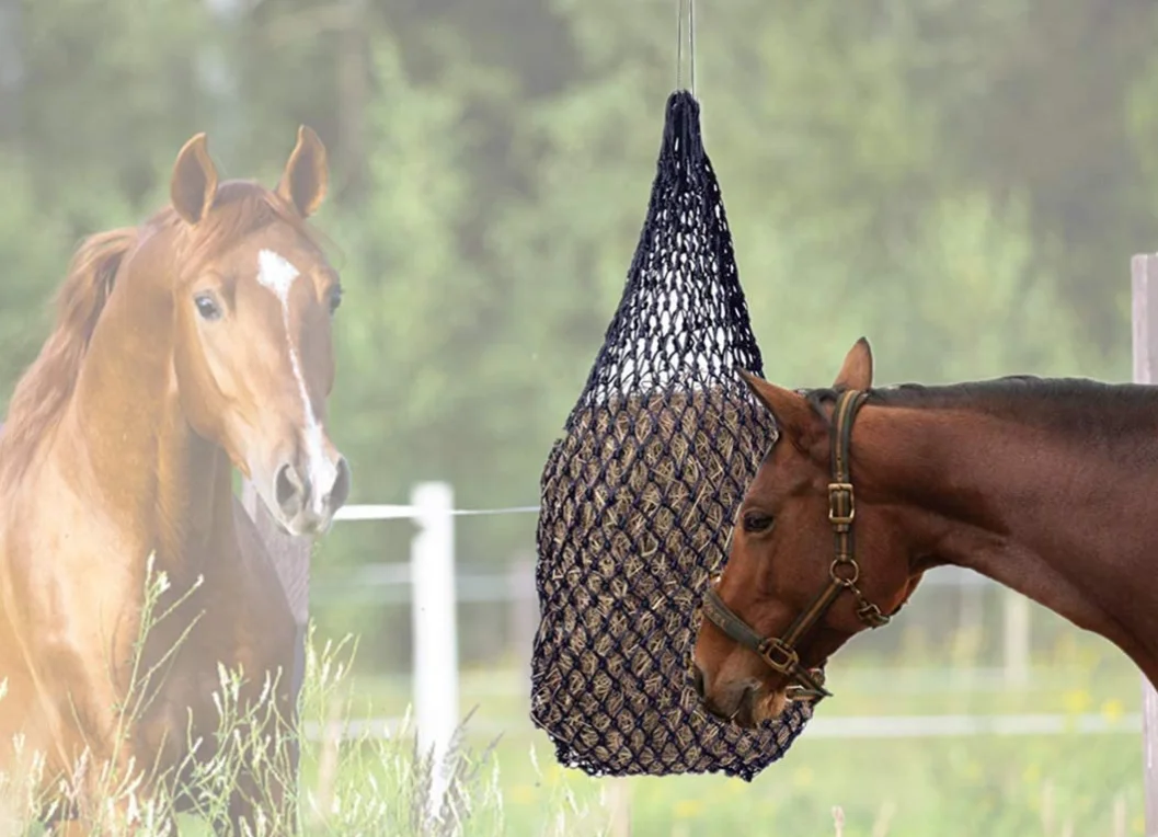Museau De Pâturage Pour Cheval – Poly/nylon, Neuf, Sans Marque, Style Régulier