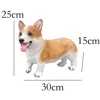 Corgi