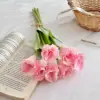 7 ramos de Platycodon grandiflorum rosa claro