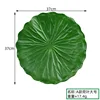 A large lotus leaf