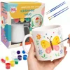 Custom Color Box with 1*mug painting set