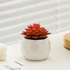 Lirio de agua rojo