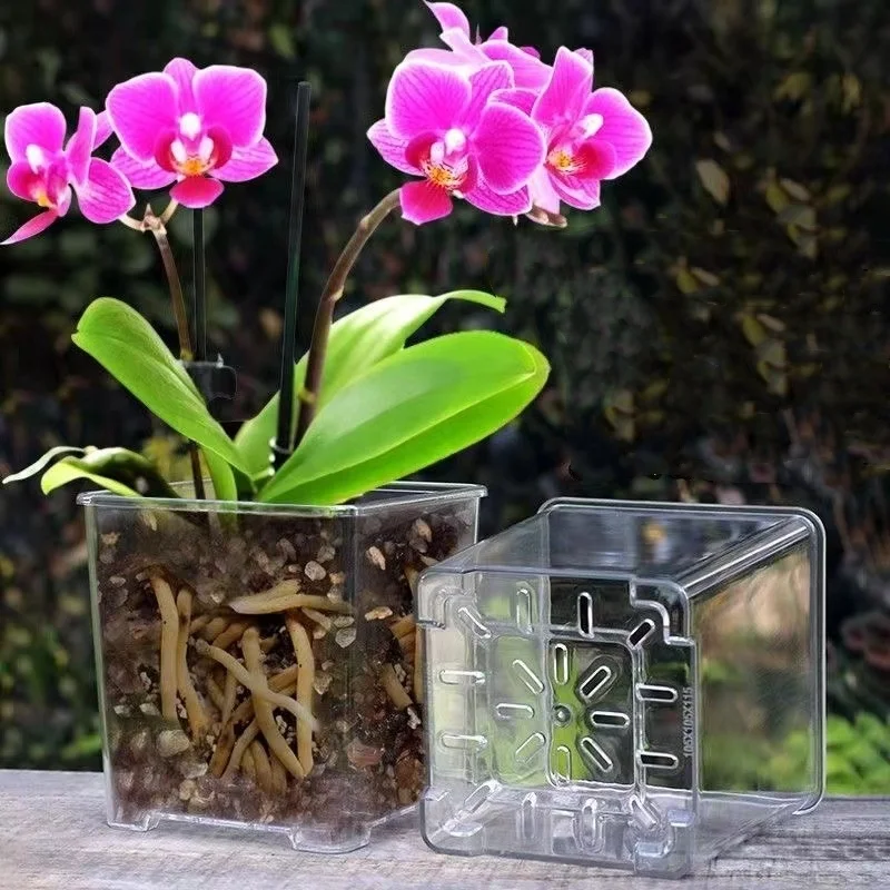 plant pot water catcher Garland Large Self Watering Plant Tray main image 0