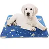Ours polaire