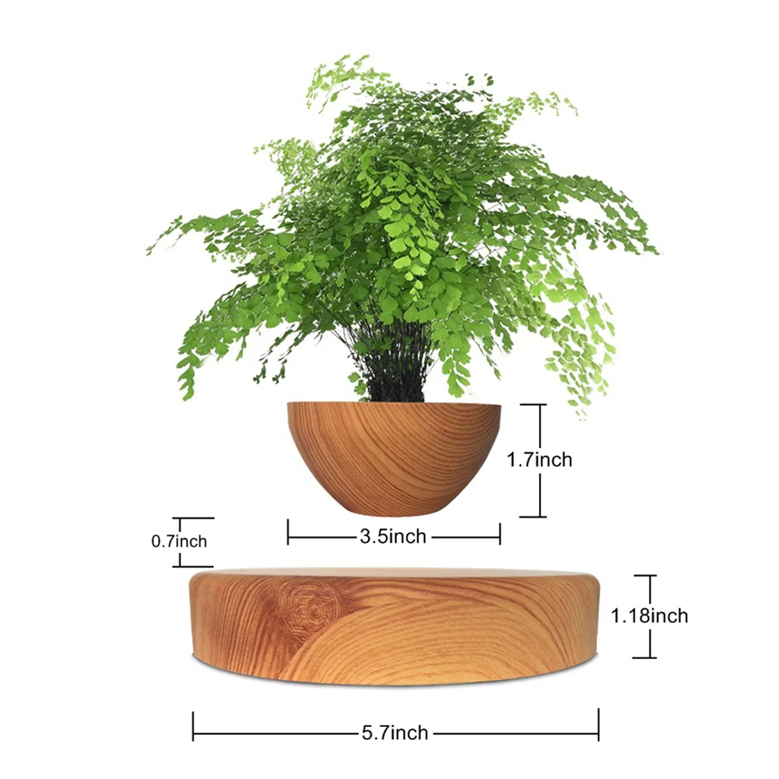 Schwebende Pflanze Magnetisch schwebende Pflanze Topf Schssel-hnliches  Design kann Basilikum, Aloe Vera, Minze, dekorative Geschenke wachsen  lassen| Alibaba.com