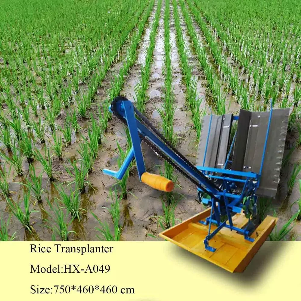 Source Operated Paddy Transplanter/paddy planting machine for sale on