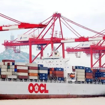 China FCL shipping cargo forwarder to jebel ali dubai from shanghai qingdao container freight