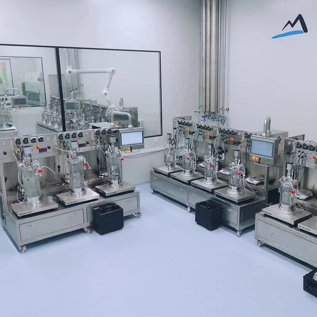 Laboratory Yeast Fungi Algae Mechanical Stirring 5L Glass Bioreactor Fermenter BLBIO-5GJA-3 Fermentation Machine Price