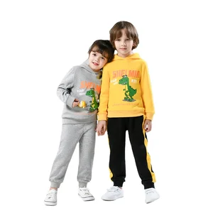Factory Direct Children's Graphic Sweatshirt Dinosaur Printing Cartoon Casual Hoodie Tops for Autumn Season