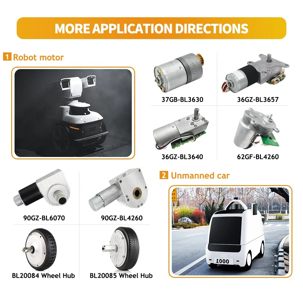 BL17060SI Wheel Hub Motor for Robotics China 36V 300RPM 40NM 48v Brushless Dc Motor SERVO MOTOR Permanent Magnet IE 2 170 Mm