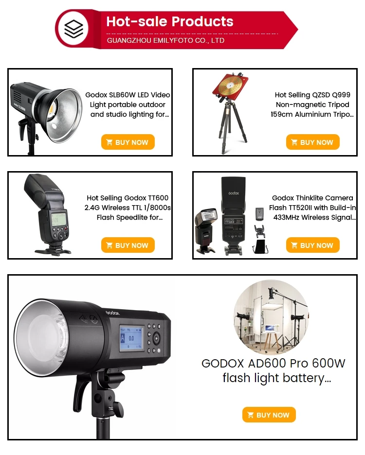Godox TT600 Camera Flash Light 2.4G Wireless Ttl 1/8000s Speedlite - China  Flash Light and Speedlite price