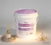 Viola