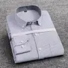 Grigio-2