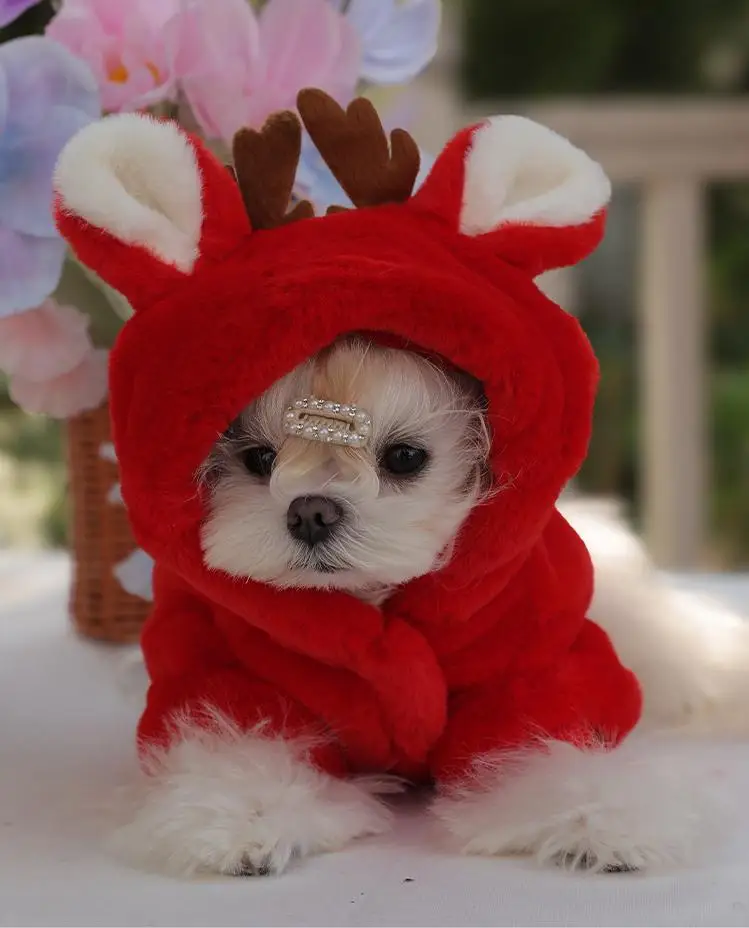 Autumn/Winter Warm Red Pet Clothing Puppy Small Dog Schnauzer Teddy Christmas Heavy Coat Christmas Elk Style