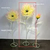 Yellow powder-single bloom-80 cm