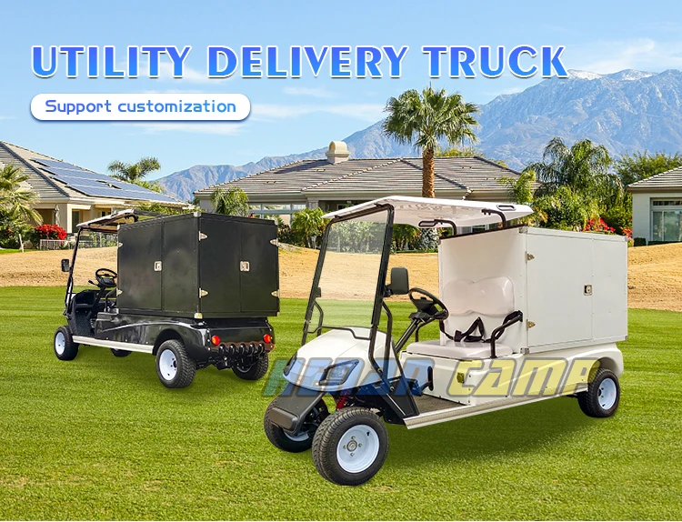 Camp High Quality Utility 2 Seat Enclosed Cabin Golf Cart With Cargo