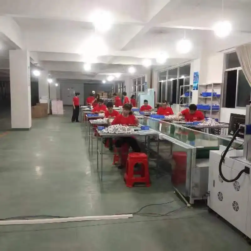 Zhongshan Hongyue Lighting Electrical Appliance Factory 2
