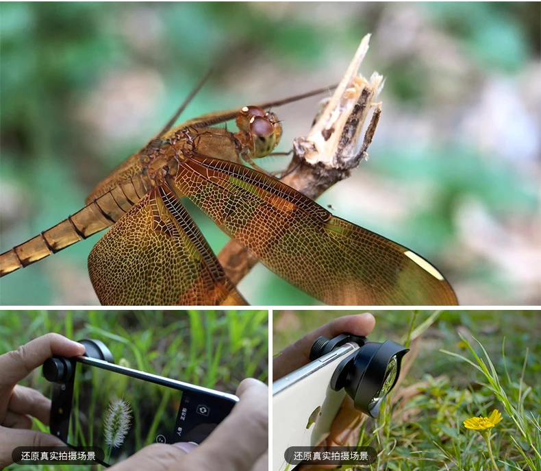 IBOOLO 20x Macro Zoom Lens Best for Iphone Smartphones