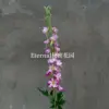 Mei zi new flying swallow