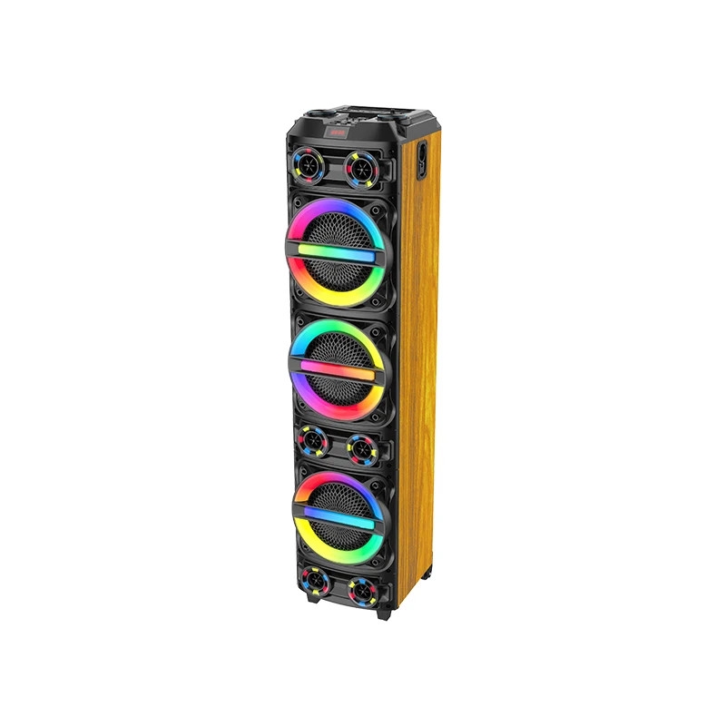 ZQS8315 Taşınabilir Kablosuz BT Hoparlör, Karaoke ve RGB Işık ile