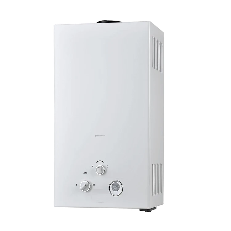 Source Stainless Steel Propane gas water boiler gas geyser water heater HOT water  heater 6L 8L 10L on m.alibaba.com