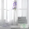 Phoenix Tail Orchid - Purple