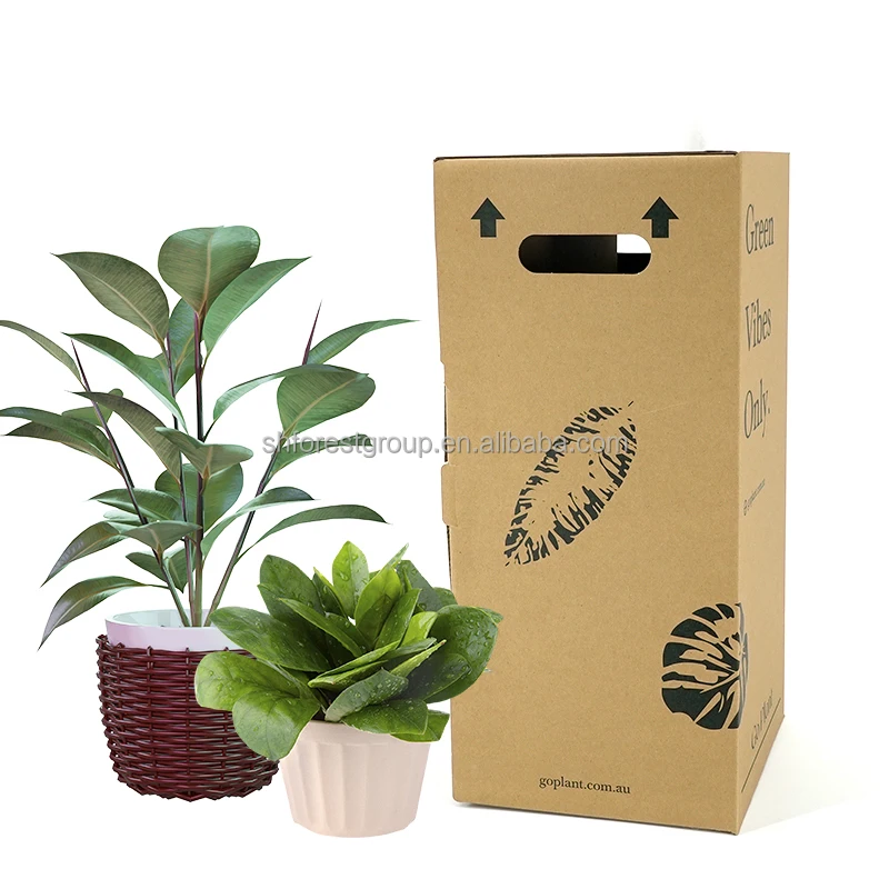 Strong Beautiful Custom Kraft Paper Plant Box With Your Logo With Inserts For Shipping For