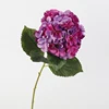 Purplish Red