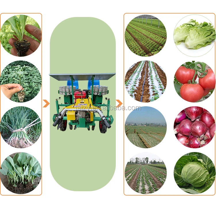Automatic Seedling Planting Machine 2rows Hand Push Vegetable Onion Seed Planter Plant Seedling
