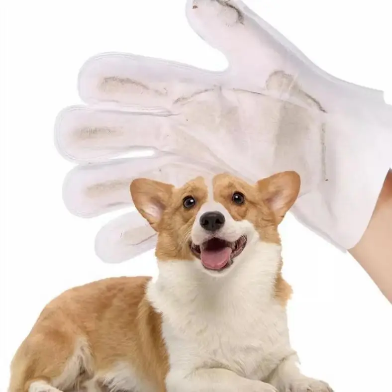 OEM/ODM Biodegradable Organic Easy to Carry Pet Gloves Finger Teeth Ear Eye Outdoors Cleaning Wet Wipes for Dogs Cats