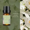 Jasmine