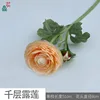 Thousand Layer Dew Lotus MHHC 3 Champagne Color Order