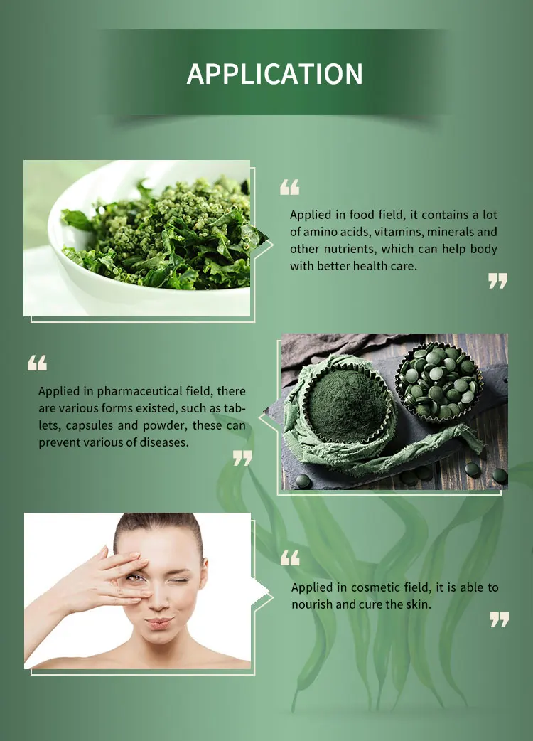 High Quality Bulk Organic Spirulina Chlorella Protein Powder Spirulina