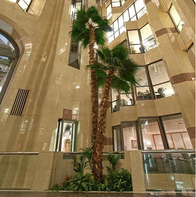 Wholesale 14 Ft Artificial Palm Tree for Outdoor Decor