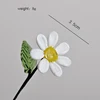 April white daisies